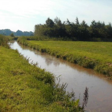 Windpark Hammelwarder Moor - Planung Kabeltrasse/ Verrohrung, Gewässerverlegung (Projekt: 5367)