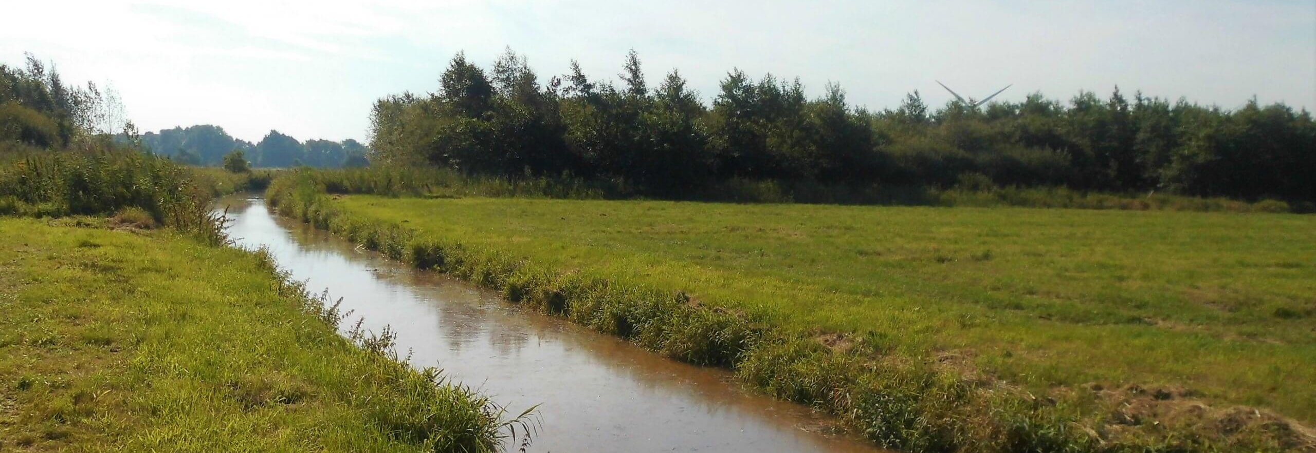 Windpark Hammelwarder Moor - Planung Kabeltrasse/ Verrohrung, Gewässerverlegung (Projekt: 5367)