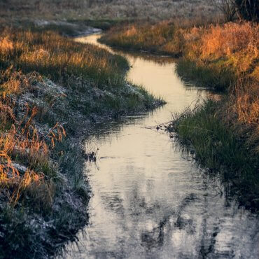 Fischschonende Pumpen