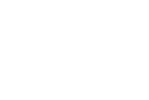 Icons - Dienstwagen für Projektleiter