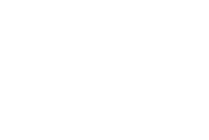 Icons - Umfangreiche Fortbildung